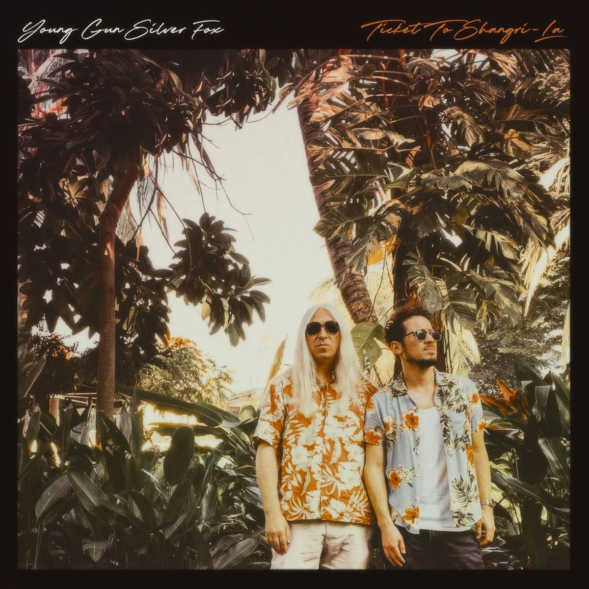 YOUNG GUN SILVER FOX — MIXTO RECORDS